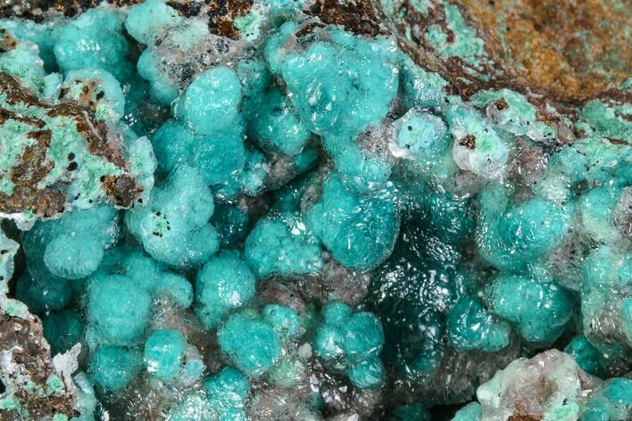 Rosasite, Aurichalcite and Selenite Crystal Association - Utah #109821